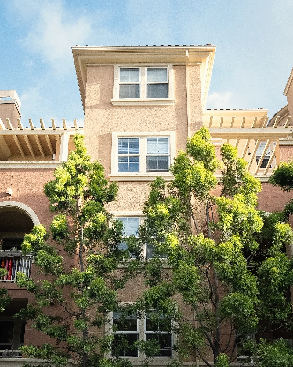 Garden apartments framed by trees