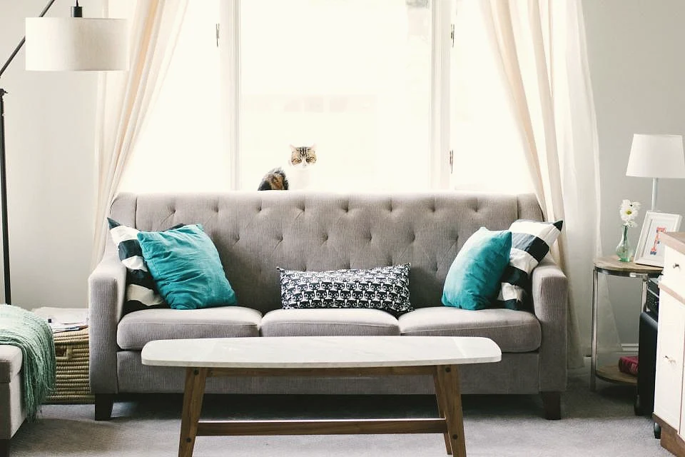 A bright living room with a gray sofa